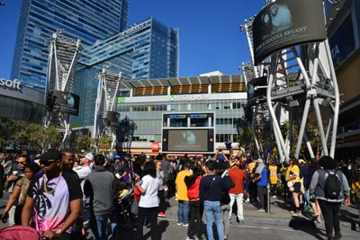 DSC_7115 (Large).JPG